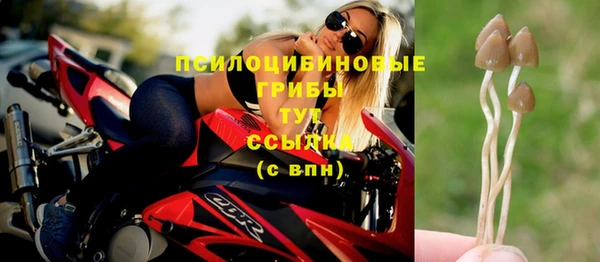 мдпв Лиски