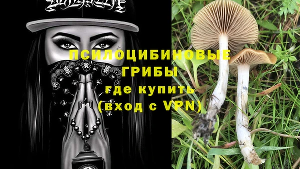 прущая мука Ладушкин