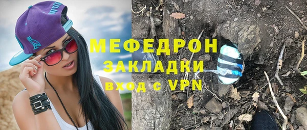 трава Ессентукская