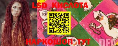 PSILOCYBIN Абакан