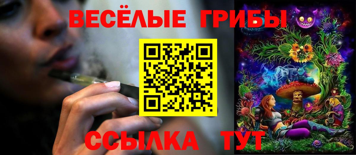 Галлюциногенные грибы мицелий Астрахань