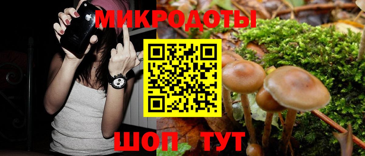 Астрахань  Галлюциногенные грибы Cubensis  Вход с VPN  что такое наркотик  Псилоцибиновые грибы прущие грибы 