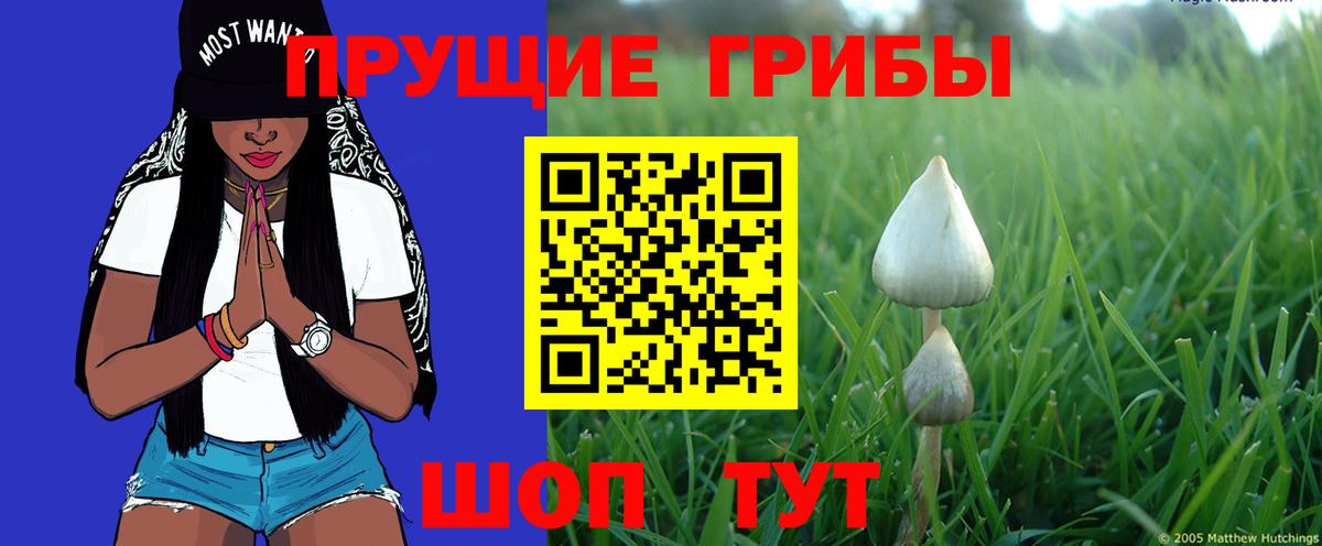 Галлюциногенные грибы ЛСД  Астрахань 