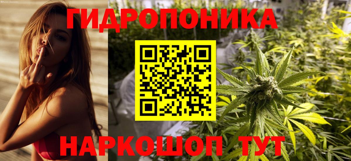 Бошки Шишки LSD WEED  Канабис Amnesia  Вход с VPN  Астрахань  Конопля VHQ 